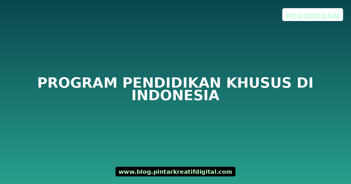 Program Pendidikan Khusus di Indonesia